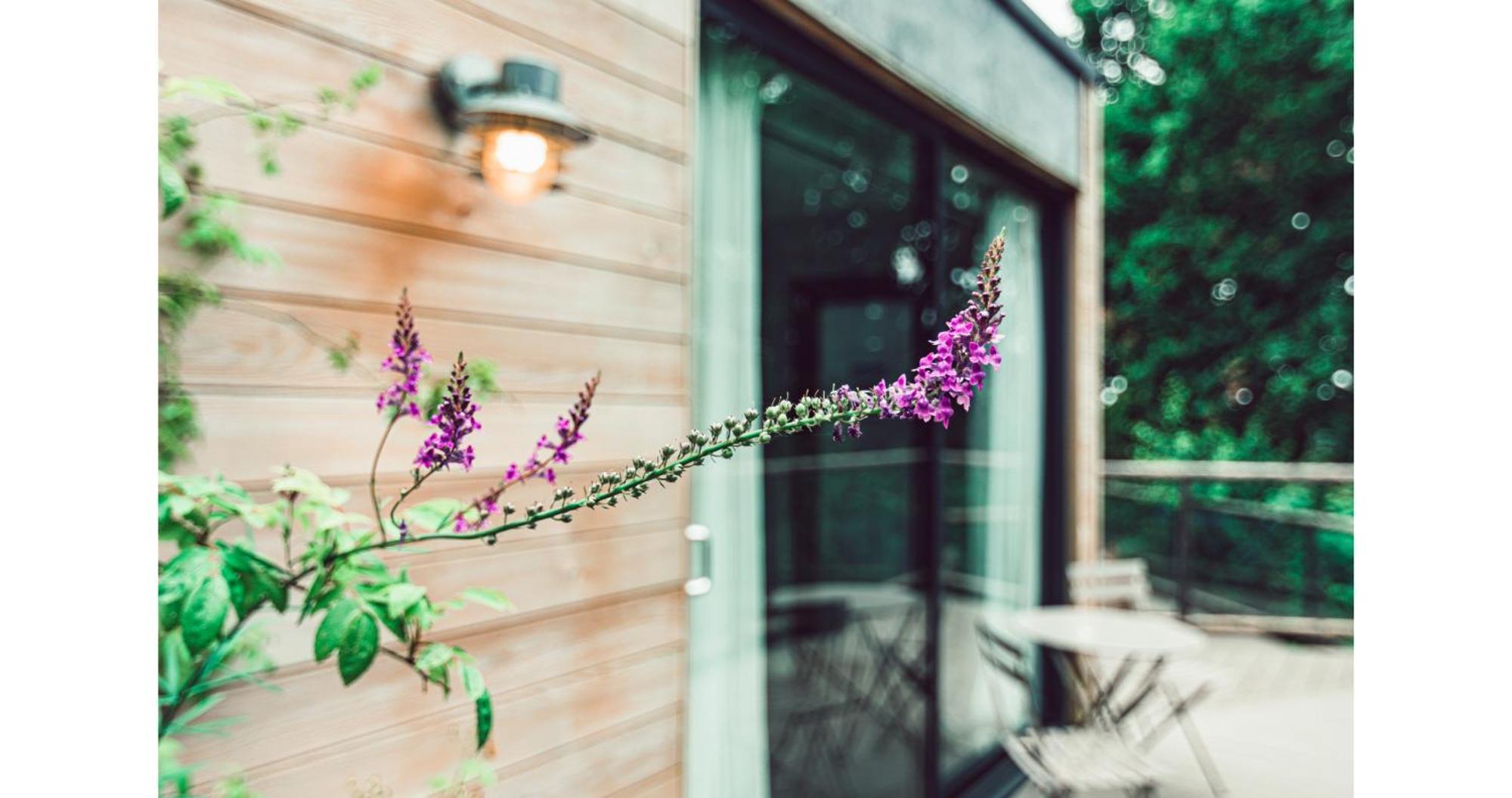 Clophill Eco Lodges ภายนอก รูปภาพ